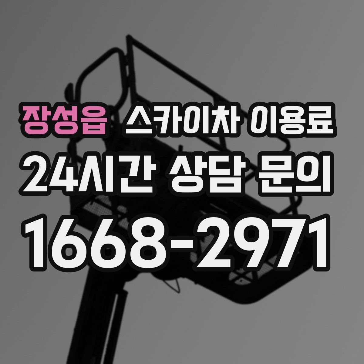장성읍 스카이차 이용료