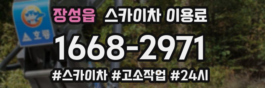 장성읍 스카이차 이용료