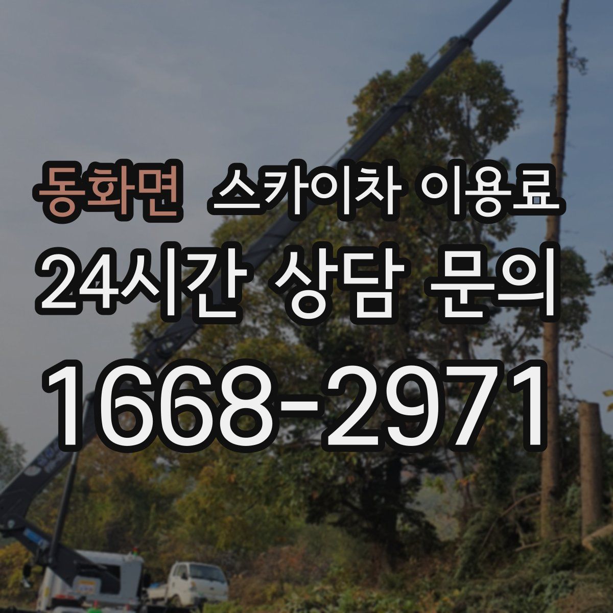 동화면 스카이차 이용료