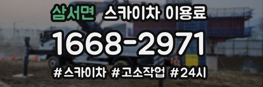 삼서면 스카이차 이용료