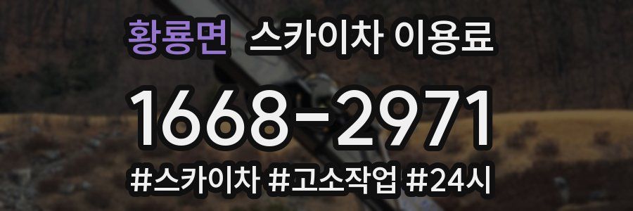 황룡면 스카이차 이용료