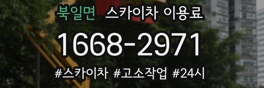 북일면 스카이차 이용료