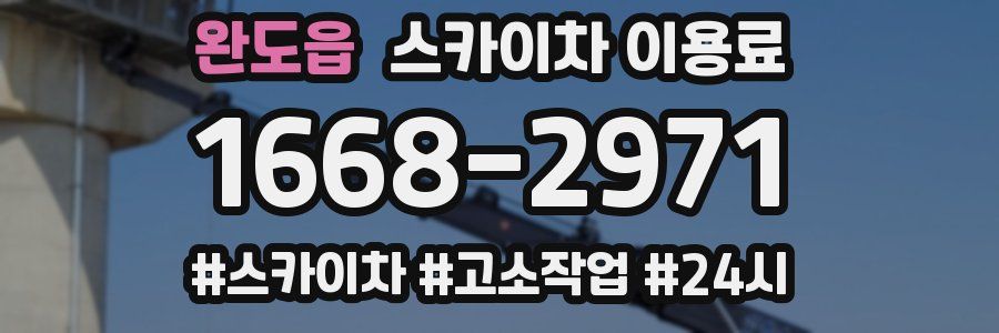 완도읍 스카이차 이용료