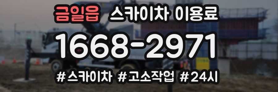 금일읍 스카이차 이용료