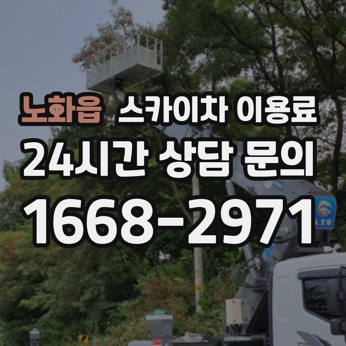 노화읍 스카이차 이용료