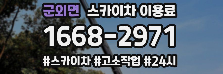 군외면 스카이차 이용료