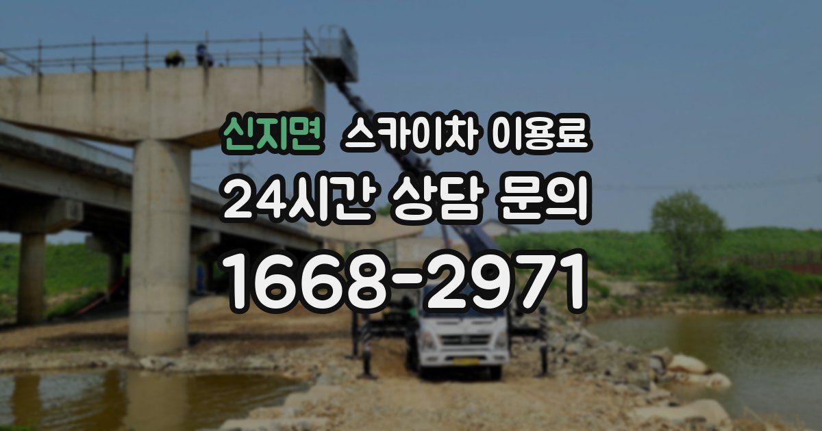 신지면 스카이차 이용료
