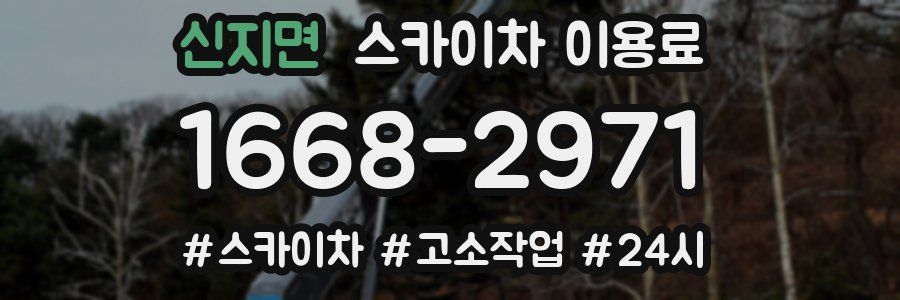 신지면 스카이차 이용료