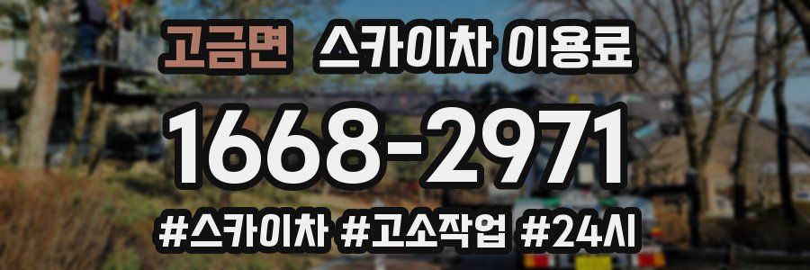 고금면 스카이차 이용료
