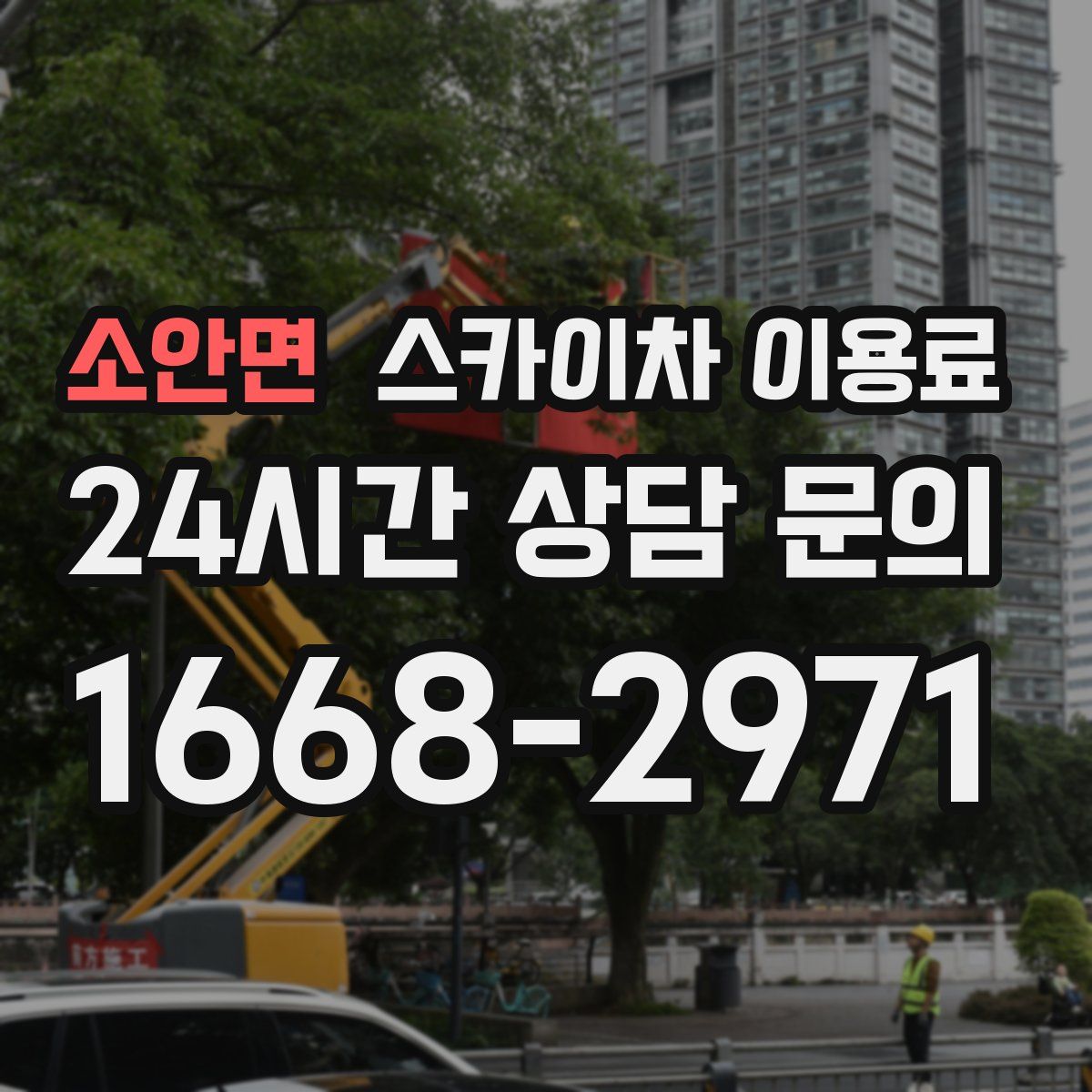 소안면 스카이차 이용료