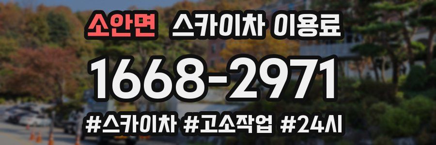 소안면 스카이차 이용료