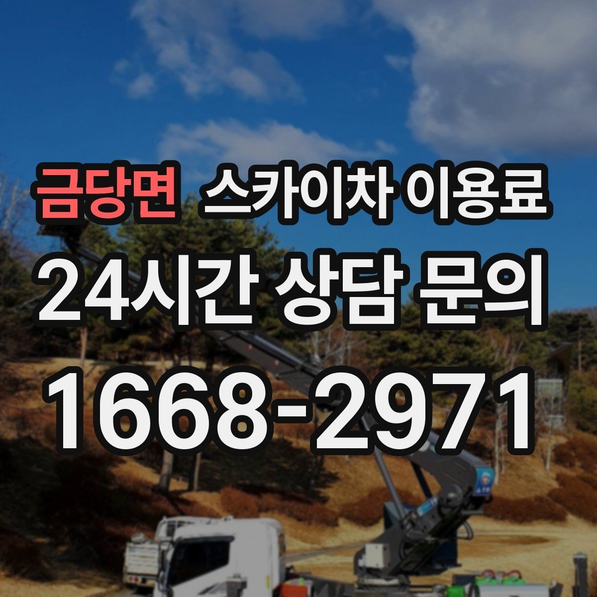 금당면 스카이차 이용료 확인 후 선택할 때 보는 항목