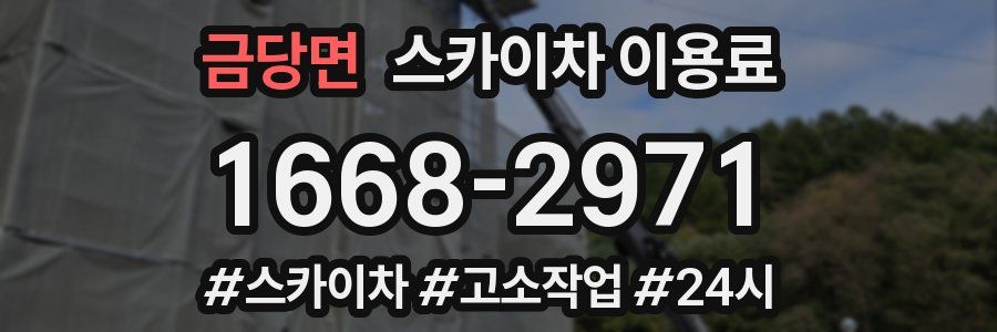 금당면 스카이차 이용료