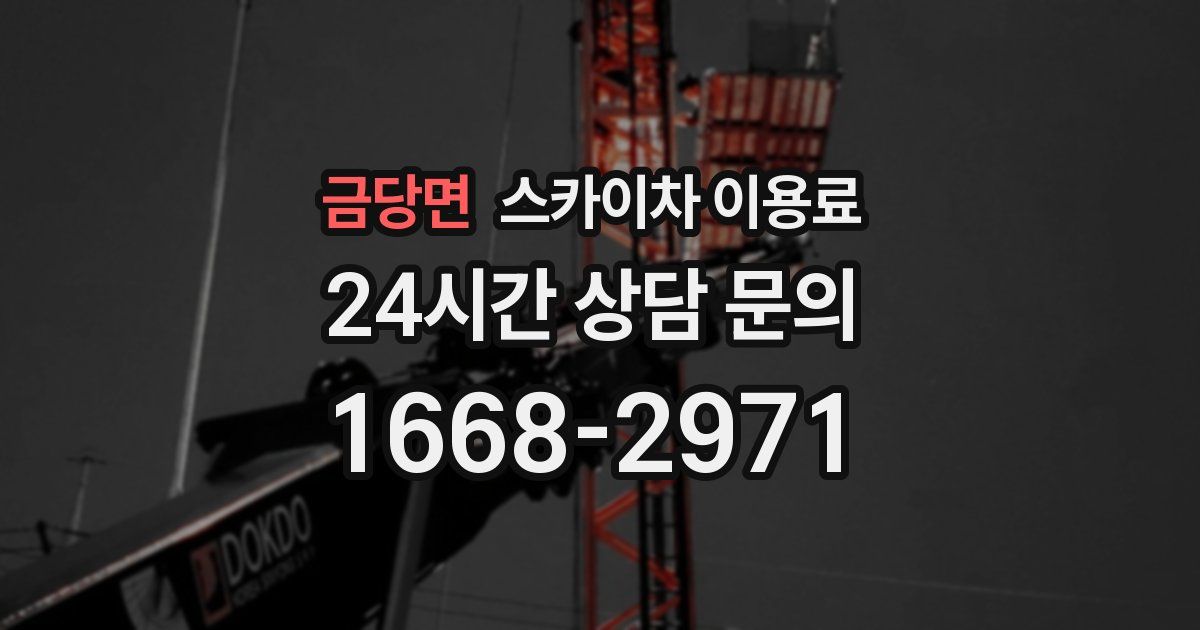 금당면 스카이차 이용료