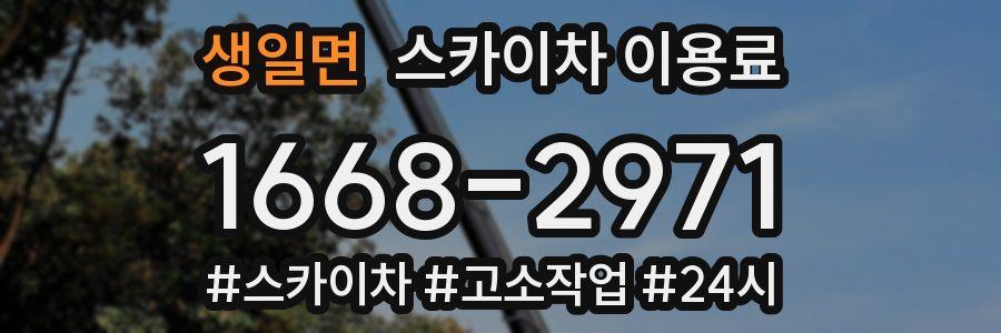 생일면 스카이차 이용료