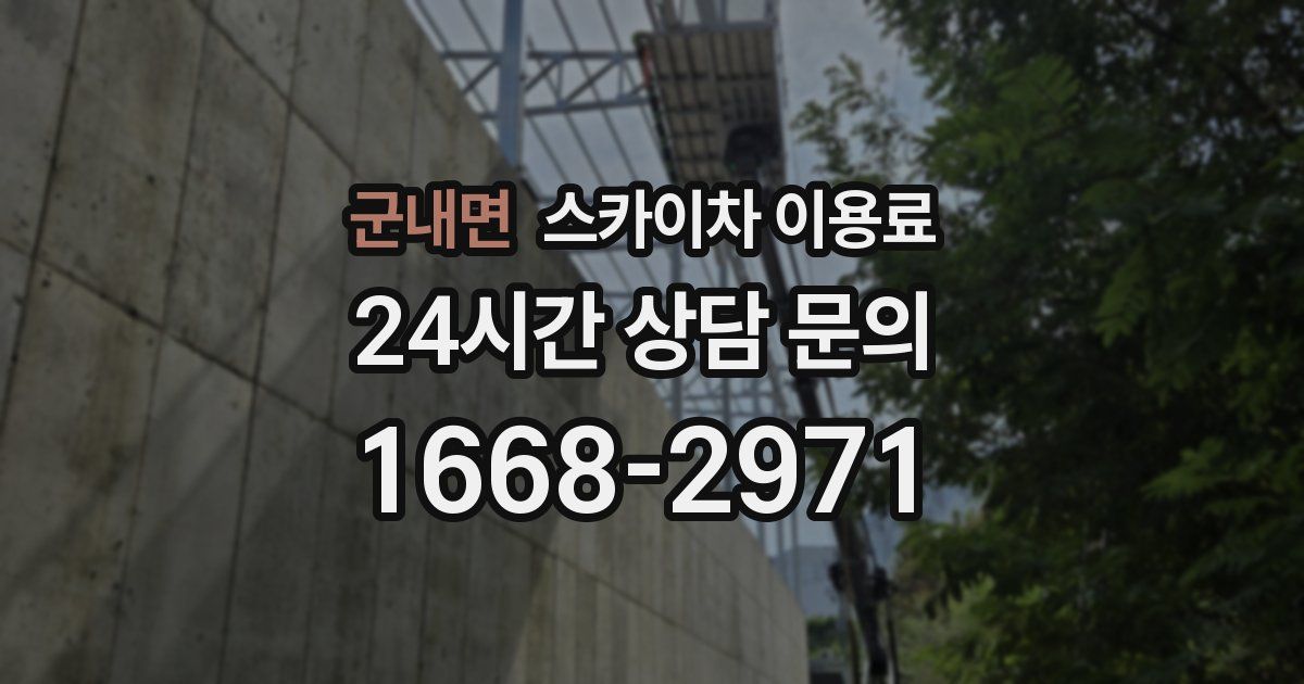 군내면 스카이차 이용료