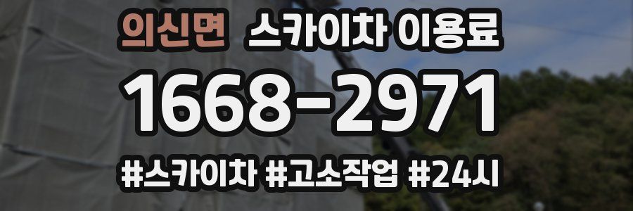 의신면 스카이차 이용료