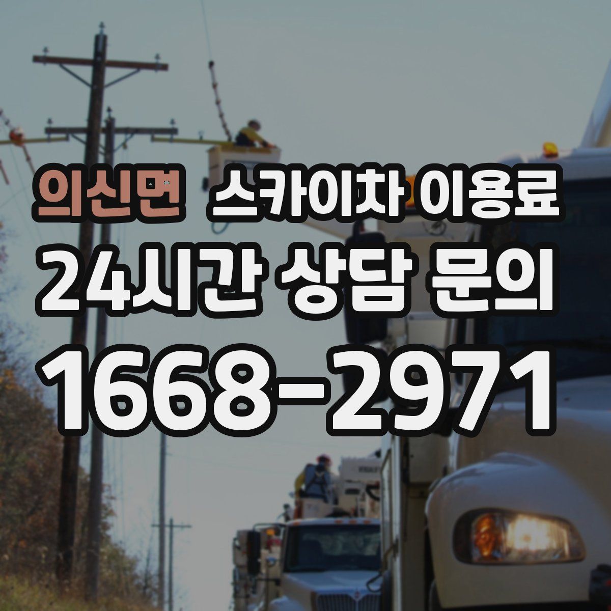 의신면 스카이차 이용료