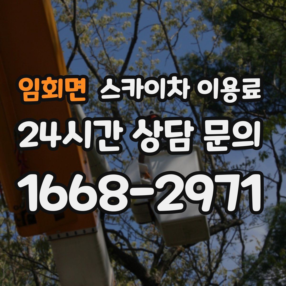임회면 스카이차 이용료 확인 전 알아야 할 기본 정보