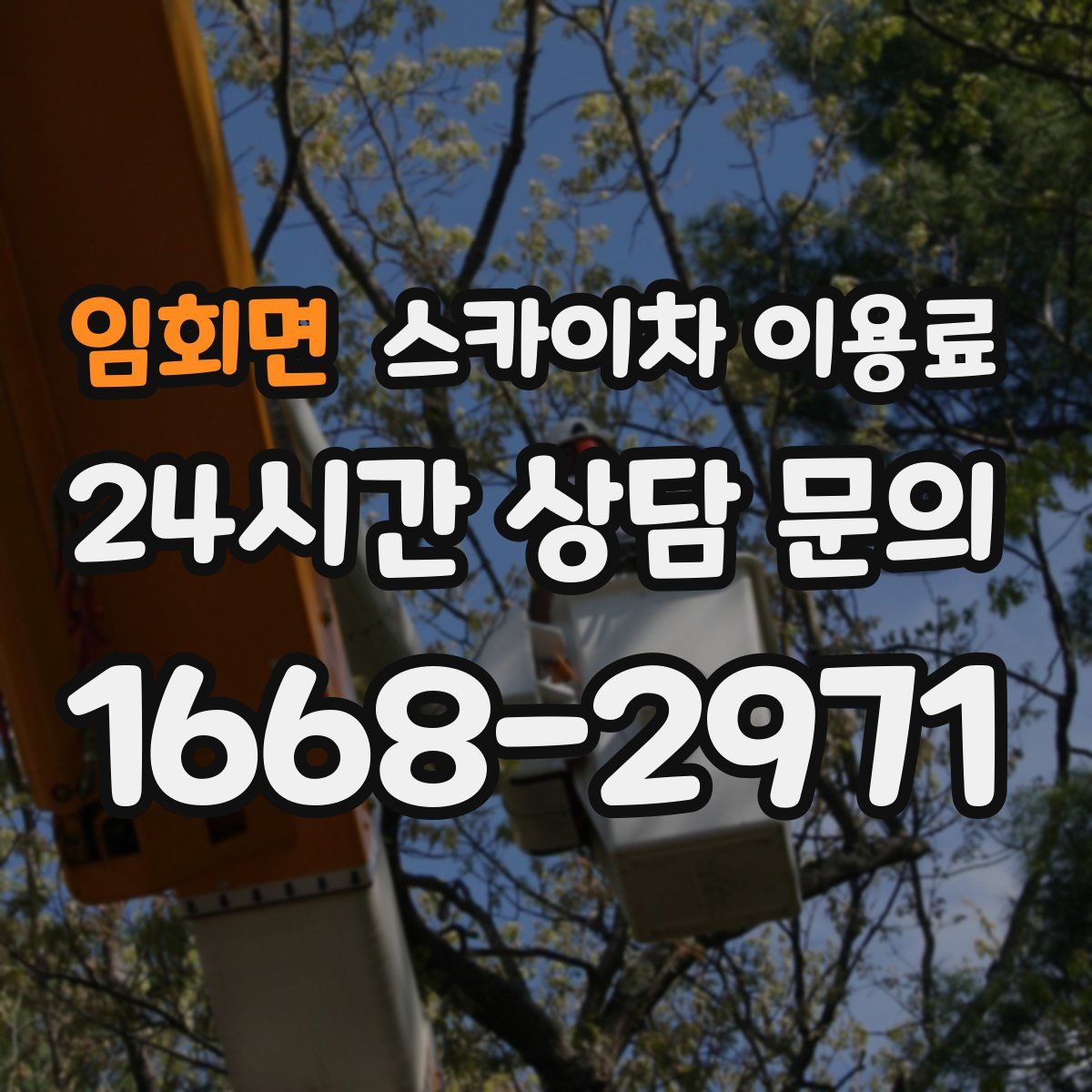 임회면 스카이차 이용료