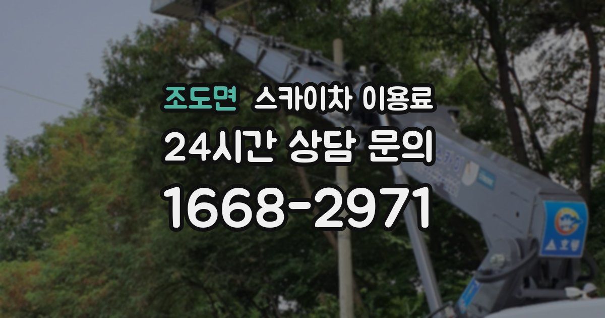 조도면 스카이차 이용료