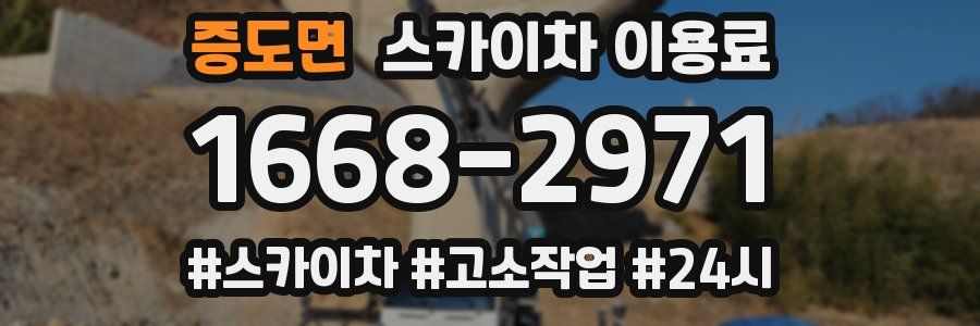 증도면 스카이차 이용료