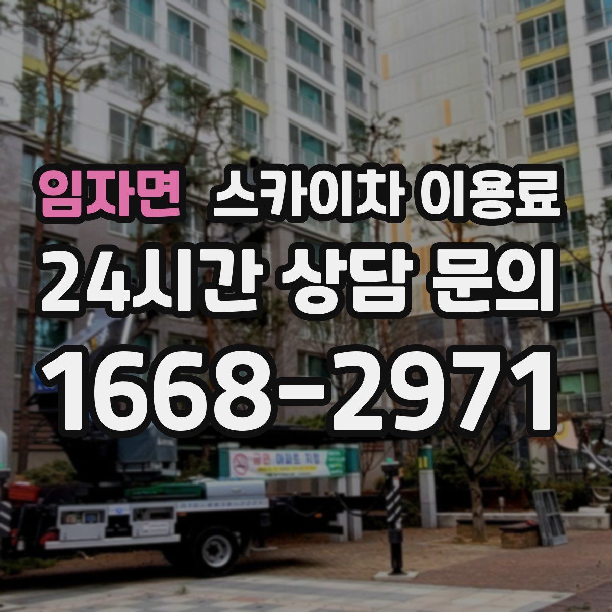 임자면 스카이차 이용료
