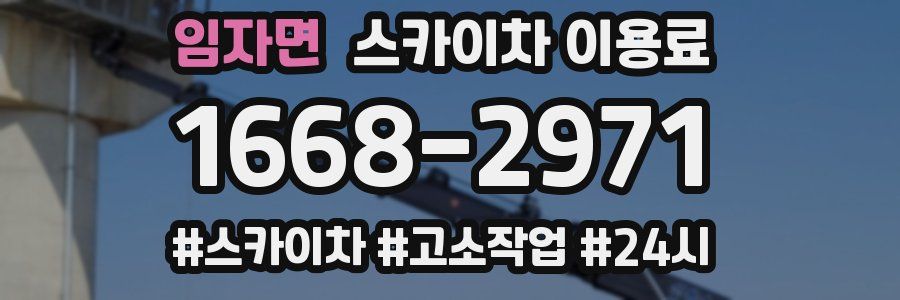 임자면 스카이차 이용료