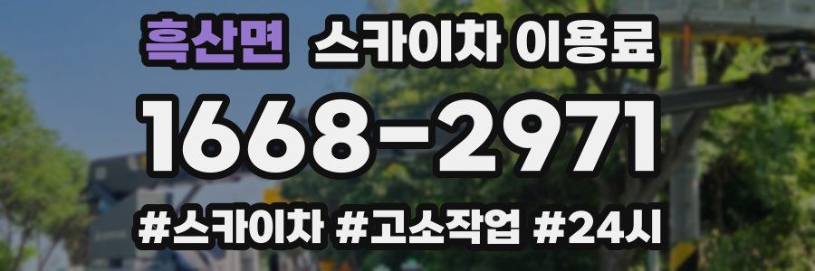 흑산면 스카이차 이용료