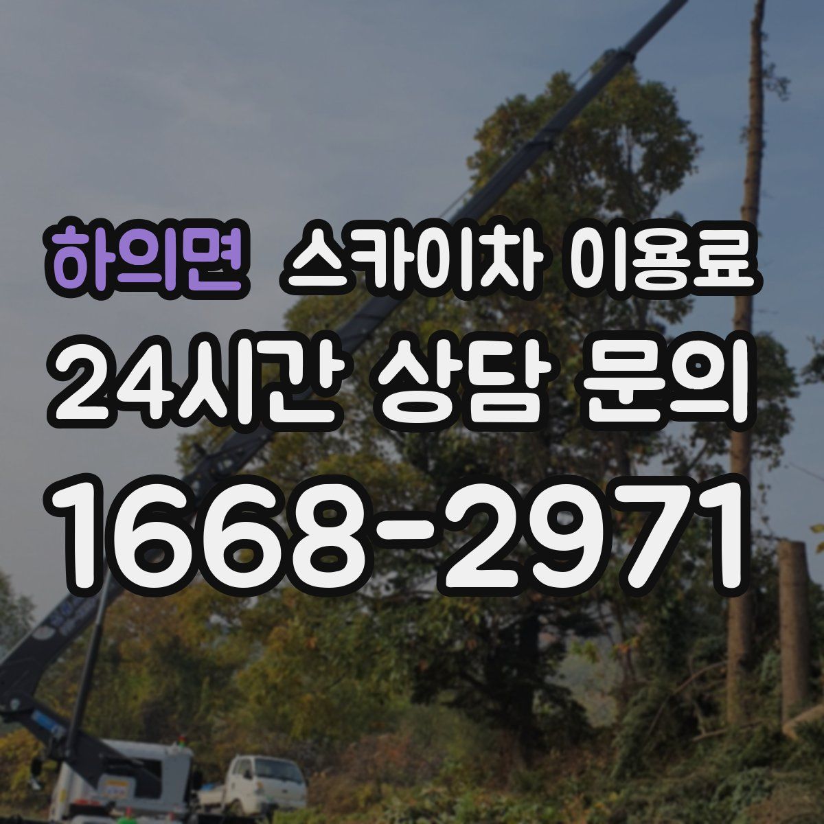하의면 스카이차 이용료