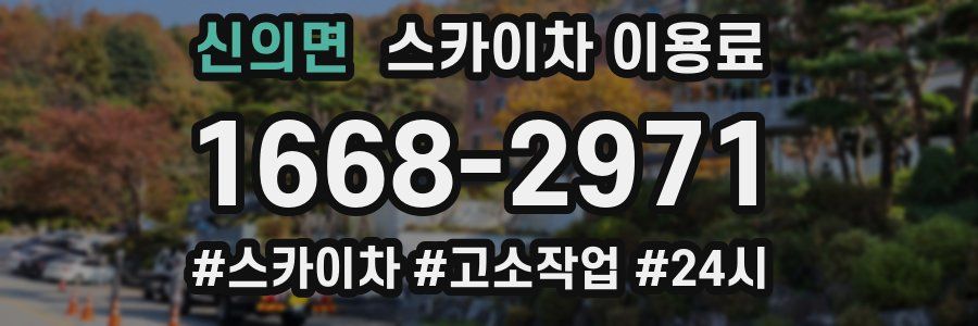 신의면 스카이차 이용료