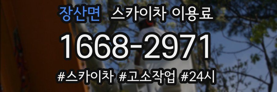 장산면 스카이차 이용료