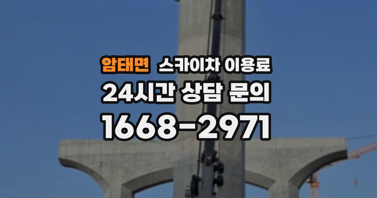 암태면 스카이차 이용료