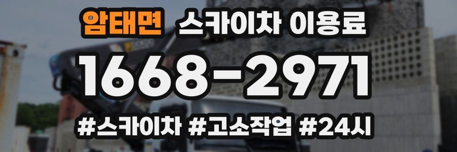 암태면 스카이차 이용료