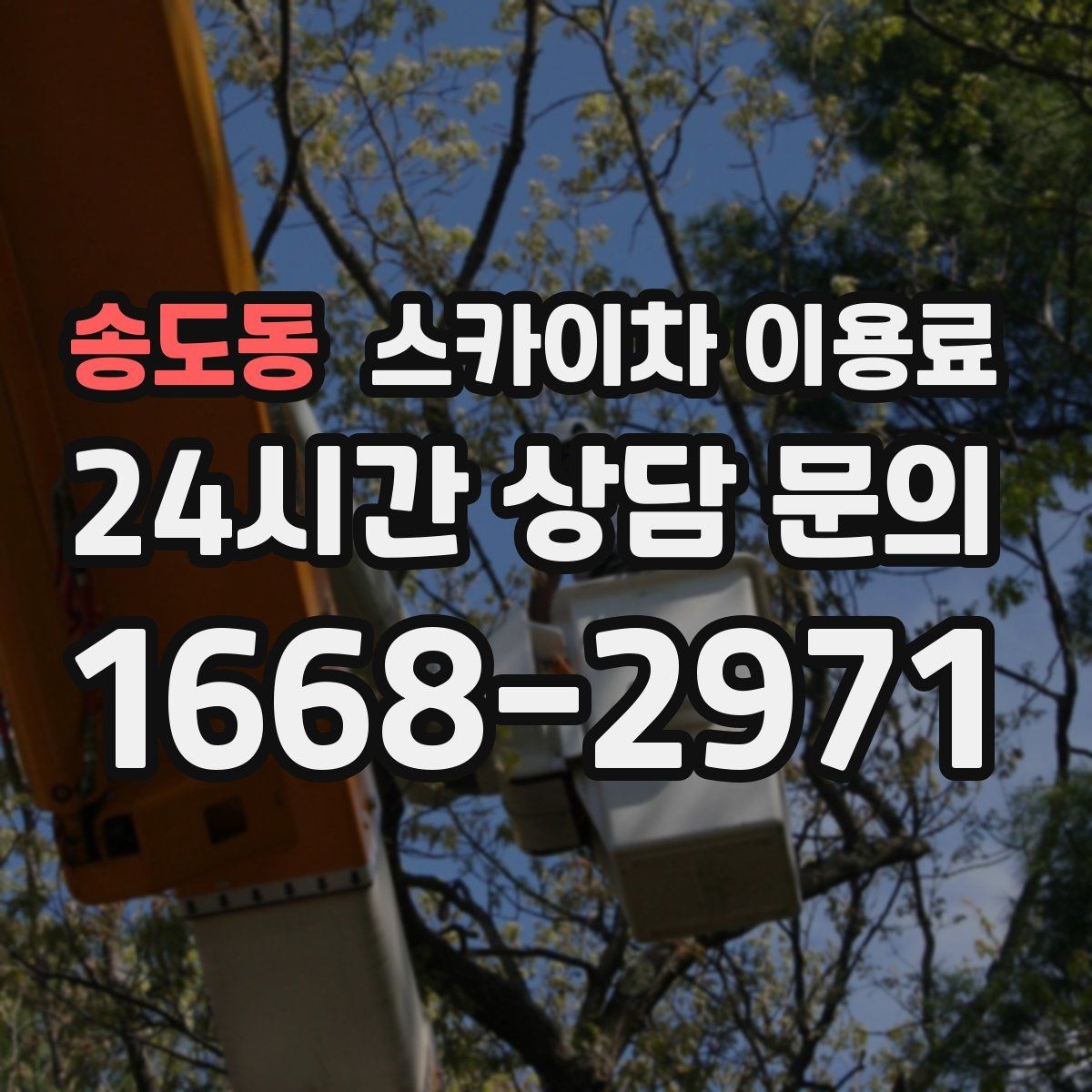 송도동 스카이차 이용료 관련 문의 전에 준비하면 좋은 정보