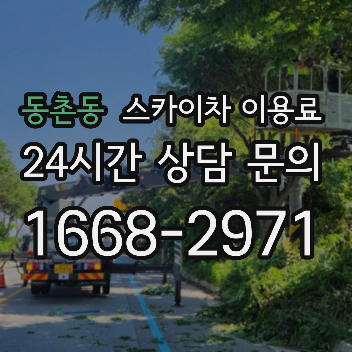 동촌동 스카이차 이용료