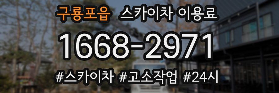 구룡포읍 스카이차 이용료