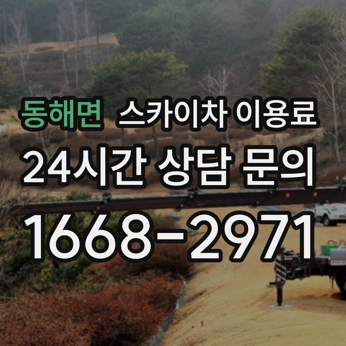 동해면 스카이차 이용료