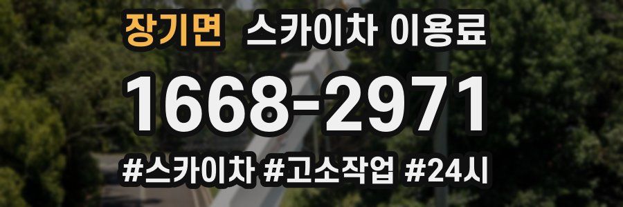 장기면 스카이차 이용료