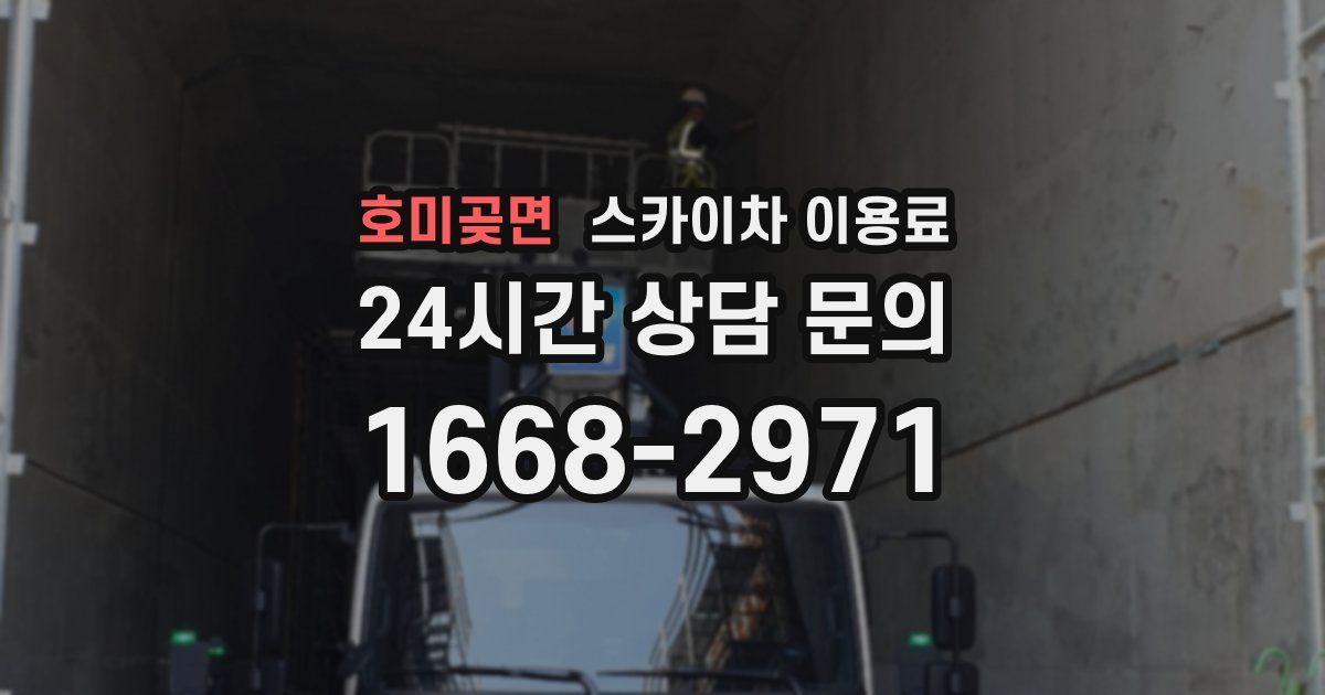 호미곶면 스카이차 이용료