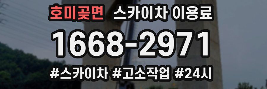 호미곶면 스카이차 이용료