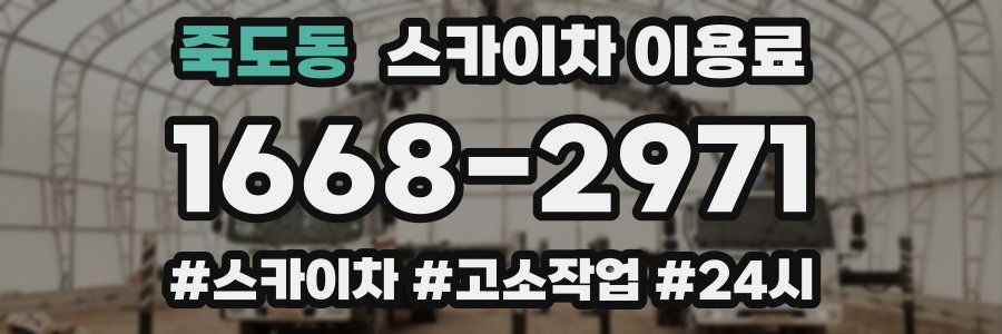 죽도동 스카이차 이용료