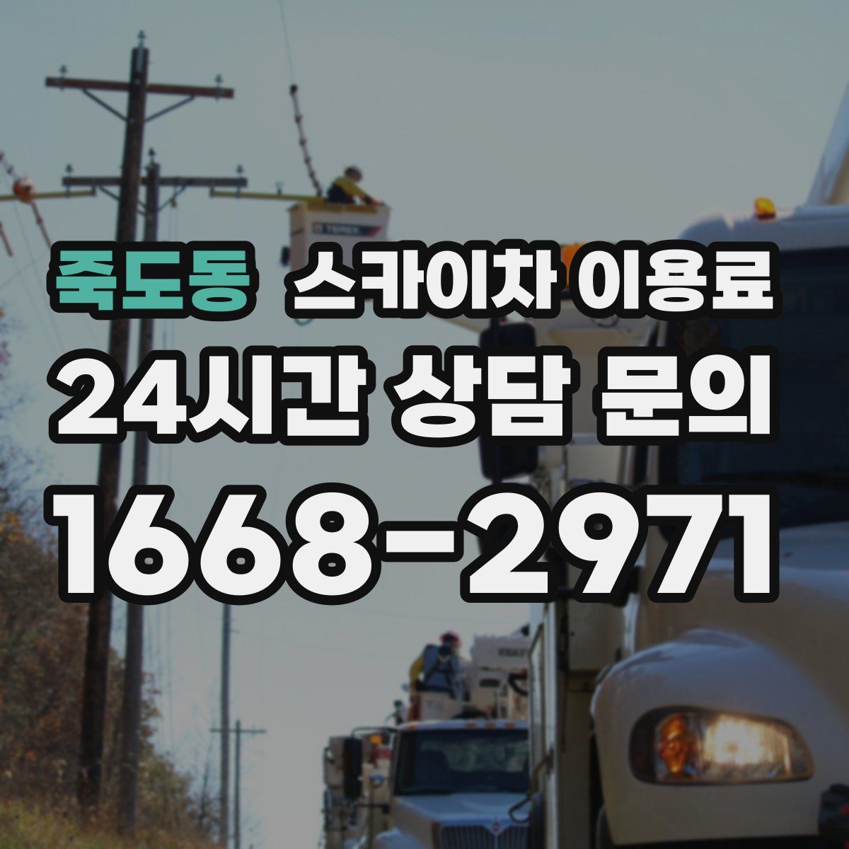 죽도동 스카이차 이용료