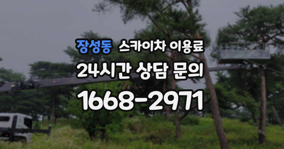 장성동 스카이차 이용료