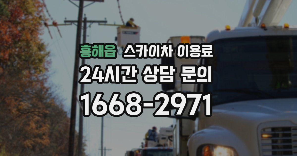 흥해읍 스카이차 이용료