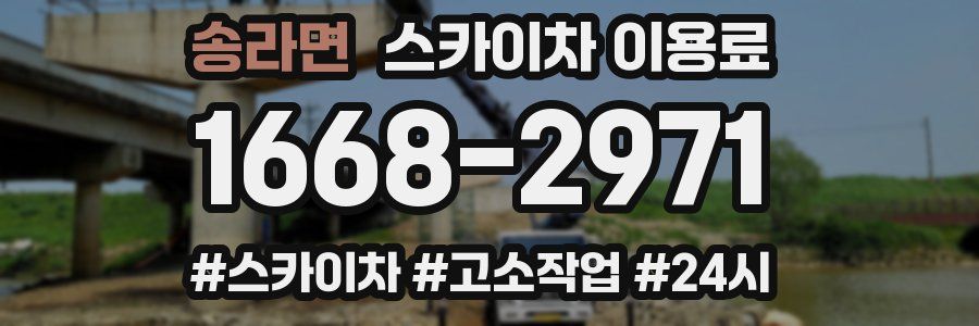 송라면 스카이차 이용료