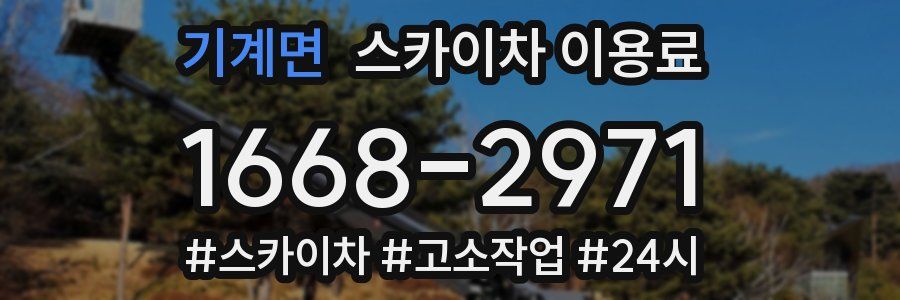 기계면 스카이차 이용료