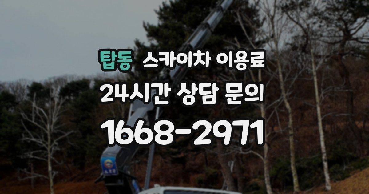 탑동 스카이차 이용료