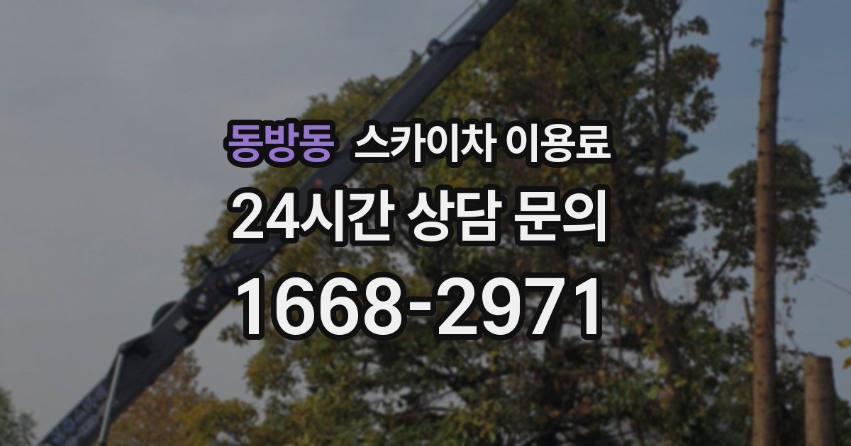 동방동 스카이차 이용료