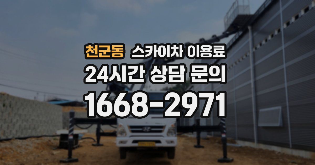천군동 스카이차 이용료